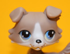 Littlest Pet Shop  Hasbro Lps Figur  67