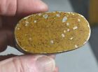 Antique Early Nutmeg Grater Box Handmade Storage Paint Decorated Georgian 19th 