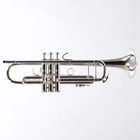 Bach Model 180s37 Stradivarius Professional Bb Trumpet Sn 796415 Open Box