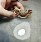 Exquisite China Collection Artwork Collections Crafts Stone Slabs