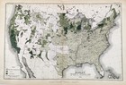 4  Maps 1890  United States - Farming  Original  Agricultural  15x10 