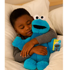 New Cookie Monster Plush  15-inch Sesame Street Stuffed