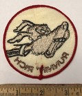 Vintage 1970s Runnin    Rich Patch Dog Hippie