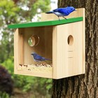 Bird House Large Bluebird House Feeder Outdoor Mealworms Feeder For Bluebird    