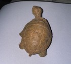 Aaa Tortoise Figure Toy Realistic Reptile Turtle Figurine Heavy