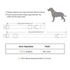 Personalized Cat Collar Reflective With Bell Custom Engraved With Name And Phone