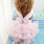 Clopon Dog Clothes Harness Dog Dress Pack Yorkie Dresses For Girl Pink Dress