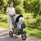 Pet Stroller Foldable 4-wheel All Terrain - Light Gray - Small Dog Cat Carrier