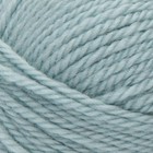 Patons Classic Wool Worsted Yarn      seafoam      100  Wool   New
