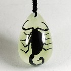 Real Black Scorpion Glow Lucite Pendant Necklace Insect Jewelry Taxidermy Gift