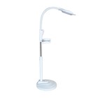 16x Diopter Led Magnifying Floor Stand Lamp With Adjustable Height