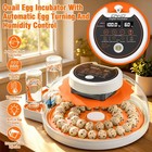 Quail Egg Incubator With Automatic Turner And Humidity Control