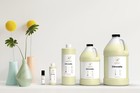 Citronella Fragrance Oil For Candle  Soap Making Incense Pure 100  Grade Bulk