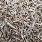 Dried Salted Sprats Anchovies 100  Ceylon Best Quality Seafood  halmasso 