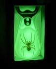 Real Insect Bottle Opener - Spider - Glow In The Dark