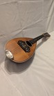 Vintage American Conservatory Bowl Back Mandolin 12 String In Original Condition