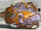 Purple Cow Agate - Oregon 6 x4  Jasper Agate Lapidary Rough Slab Cabbing Collect