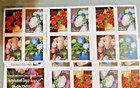 Usps Forever Stamps  Flowers From The Garden 2016  dealers Estate Lot Of 5 Books