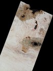 Xxl Insanely Curly Birdseye White Maple Burl Wood Slab Turning Wood  Curly Maple