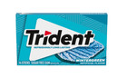 Trident Wintergreen Sugar Free Gum  12 Packs Of 14 Pieces  168 Total Pieces 