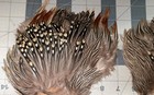 2 Jungle Cock Capes Fly Tying Feathers