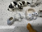 Lot Vintage Ceramic Dogs Cats Figurine Spaniel Hound Terrier Trinket Shelf Japan