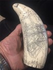 Sperm Whale Tooth Scrimshaw Replica  ship Mercator  Fine Details  Historic