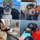 Dog Goggles Large Breed  Large Dog Sunglasses Eye Protection For Dogs Windproof 