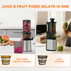 Hysapientia Cold Press Juicer Machines With Fruit Puree   Gelato Function 