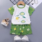 Toddler Outfits 2 Piece Boys Girls Summer Cartoon Tee   Shorts Clothes Set