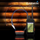 Garmin Alpha 300 Gps Handheld Bundle Alpha T20 Dog Tracking Collar