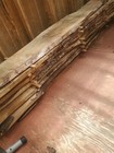 Slab Of Live Edge English Walnut Dried 13 And 1 2 Feet Long