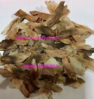 Plumeria   Frangipani   Seeds flowers mixed 200 Seeds