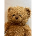 Build-a-bear Workshop Life Is Good Brown Bear Plush
