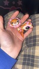 Littlest Pet Shop Lot