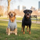 Warm Winter Dog Hoodie Sweatshirt Coat Clothes For Small Dog Puppy   Cat Costume