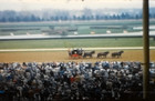 A Day At The Races Horse Race Track Rare Vintage 8mm Home Movie Film Reel B907