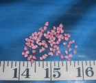   Lilac Shells   100    Deep Pink   Vintage   Shellcraft   Sailor s Valentines  