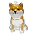 Pet Hair Memorial Keychain Clear Fur Storage Keepsake For Dog Cat Lovers