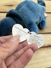 Ty Beanie Baby Retired  Rainbow 1997  Free Shipping