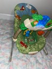 Fisher-price Rainforest Baby Bouncer 2005 Vintage- Fully Functioning