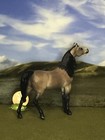 Ooak Breyer Cm Custom Stablemate Horse Arabian By D  Williams buckskin Beauty 
