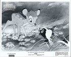 Bambi 5x Original Press Stills Walt Disney 1957rr