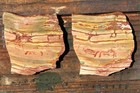 Dead Camel Jasper Rough Slabs For Lapidary Cabbing Crafts Displays