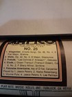 Ampico Play-rite Piano Roll No  25 