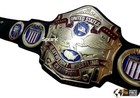 Nwa United States Heavyweight Championship Title Belt Replica Adult Size New
