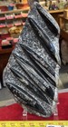        Nice Orthoceras Plate 10    X 6    Polished Devonian Fossils 3 49 Pounds