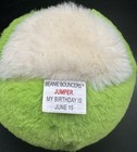 New  Ty Beanie Bouncers Jumper The Frog 3 1 2  Plush Bouncy Ball Toy