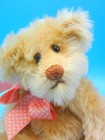 Bear Artist Vicki Stephan Raspbearies Mohair Plush Bear 9 