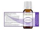 Essential Oil Set 10 - 10 Ml  100  Pure Natural Therapeutic Grade Oils Lot 